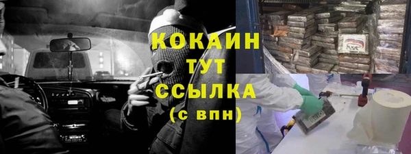 твердый Михайлов