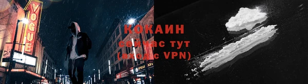 твердый Михайлов