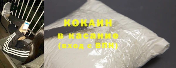 твердый Михайлов