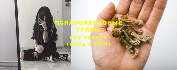 твердый Михайлов