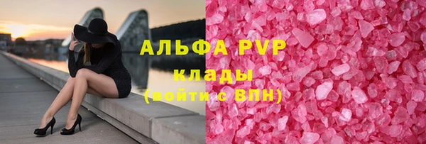 твердый Михайлов