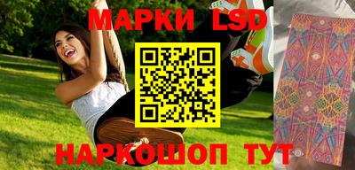 СК Абакан