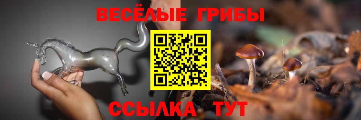 Галлюциногенные грибы MAGIC MUSHROOMS Переславль-Залесский